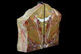 Red/Yellow Jasper Replaced Petrified Wood Bookends - Oregon #99338-2